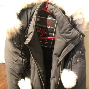 Moose Knuckle Jacket